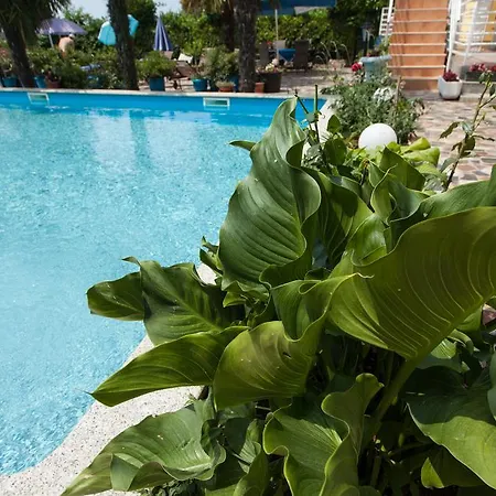 Apartment Paradis Rovinj